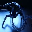 IMG_5330.JPG Alien Queen