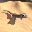 Pachydactylus-Rangei_Boden0005.jpg Namib Gecko -Pachydactylus rangaii-with full size texture + Zbrush Originals-STL 3D Print File-High Polygon