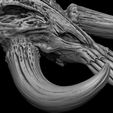 14.jpg 3D PRINTABLE MYTHOSAUR SKULL SORGAN FROG WALKING THE MANDALORIAN