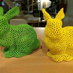 IMG-20171230-WA0004.jpg Free STL file Easter Bunny Voronoi with support. Lapin Voronoi avec support・3D print object to download