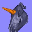 hunicorn_skull_colors.JPG Unicorn Skull