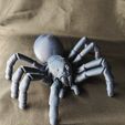 Articulated Tarantula