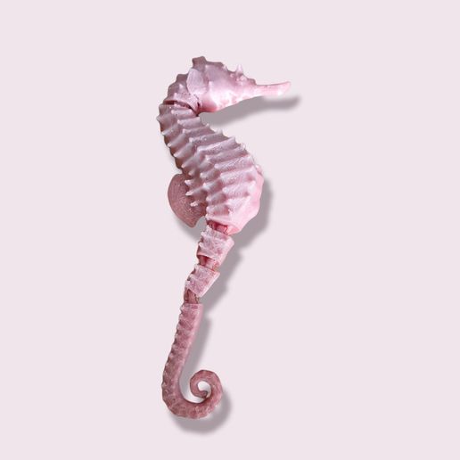 Sea Horse Chingle 3D model