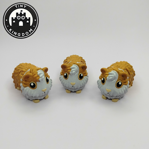 Flexi-Tiny-Cavia,-P1.png Flexi Tiny Cavia, figurine articulée, porte-clés inclus, 3mf inclus