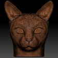 21.jpg Siamese Cat head for 3D printing