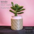WABIT-planter_Small-front2.jpg WABI  |  Self-watering Planter