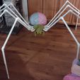 IMG_20221019_201447785.jpg Giant Lawn Spider