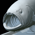 White-grouper-open-mouth-statue-56.png fish white grouper / Epinephelus aeneus open mouth statue detailed texture for 3d printing