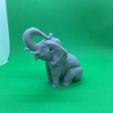 05ad5897ef993de72bb99c11d382f734_display_large.JPG An Elephant in a Sitting Position