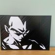 IMG-20231005-WA0028.jpg painting / laminate Vegeta