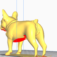 french-bulldog-4.png французский бульдог