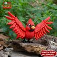 c.jpg Print In Place Cute Flexi Cardinal Bird