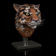 Shop1A.jpg Tiger portrait with stand, base and wall mounts 3D STL print file High-Polygon