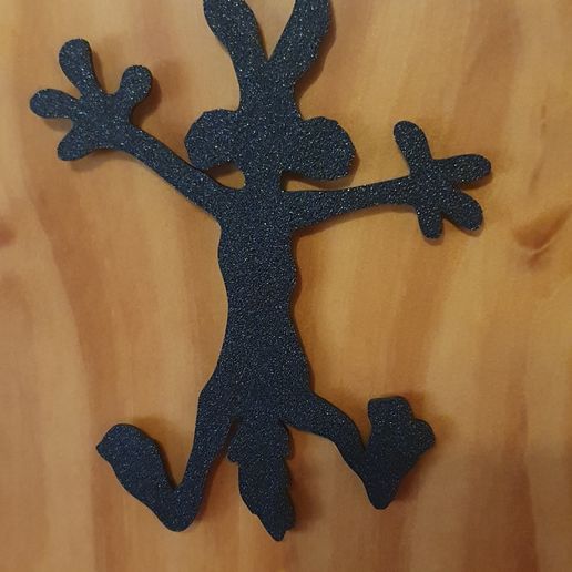 20250224_160350.jpg decoracion de pared coyote