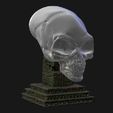 5b5b80c3-1b62-466b-85b7-ac6da7007925.jpg Crystal Skull