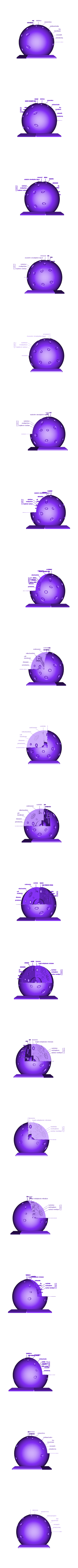 Animal cell_obj.obj Animal cell