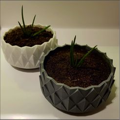 2.jpg Файл 3D FLOWER POT AND VASE M1・Модель для загрузки и печати в формате 3D