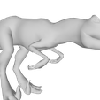 model.png venatosaurus