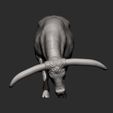 Texas-Longhorn13.jpg Texas Longhorn 3D print model