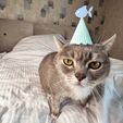 CAT-PARTY-HAT-PLASTIC-3D-PRINT-by-qbed-3.jpg FISHY FISH CAT PARTY HAT