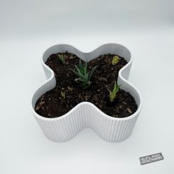 X-Plant-Pot-In-Use.jpg X Plant Pot