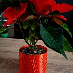 20231204_113727.jpg Christmas flowerpot