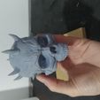 IMG_20200124_175620.jpg DARTH MAUL SKULL
