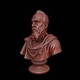 render_2.jpg Tycho Brahe Bust