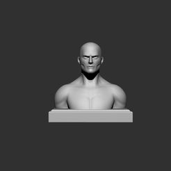 ZBrush-Document.jpg Fichier STL Buste・Design pour impression 3D à télécharger