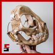 cults3D-8.jpg 3D-Datei Katzenschädel Maske ARTICULATED・3D-druckbare Vorlage zum herunterladen
