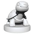 Turtle3.jpg Turtle
