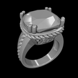 screenshot010.png Luxury 3D Printed Rings Collection – Print in Place