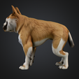 Screenshot-2025-10-19-at-5.32.01 PM.png Hyper/ultra realistic dog