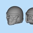 3.jpg STL printable Skull and D Vader head for Wild Willie Driver