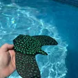 22d12f17c0ce2791.webp Gliding manta ray toy that swims forward