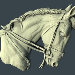 242_Panno.jpg Descargar archivo STL gratis medalla busto de caballo cnc art・Modelo para la impresora 3D