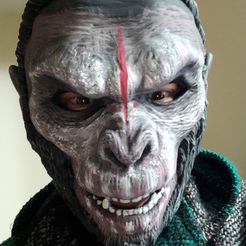 20220401_152528a.jpg STL file Primate mask・3D print design to download