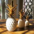 20170515_094944.jpg ANANAS