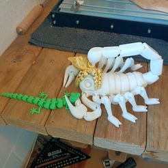 Flexi Print-In-Place Skorpion