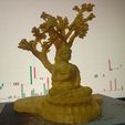 1750918517027.jpg Budha under tree