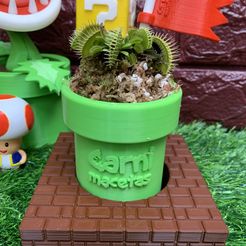 IMG_1593.jpg CARNI POT TUBE POT