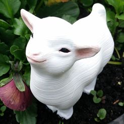 goteflower.jpg Бесплатный STL файл Smug goat・Модель 3D-принтера для скачивания
