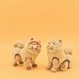 20260726_134234.jpg Articulated Chow Chow 🐾✨