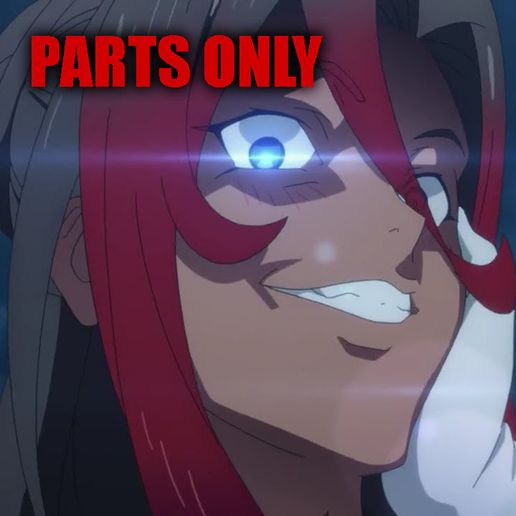 ONLY Regular ARA-ARA parts