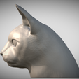 Zrzut-ekranu-2025-06-14-113339.png Abyssinian cat head for 3D printing