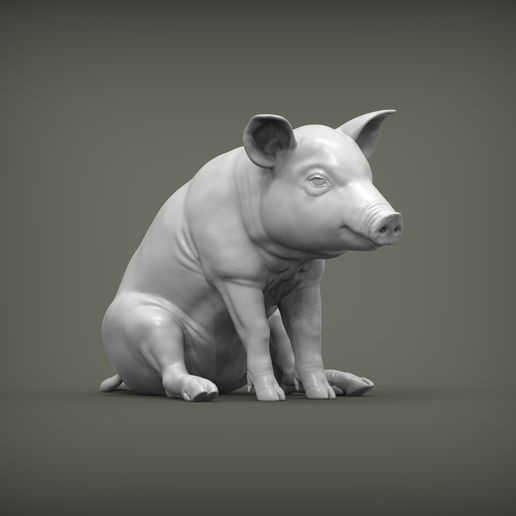 Baby-pig-sitting3.jpg Baby pig sitting 3D print model