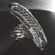 AM2.jpg Alien Ring