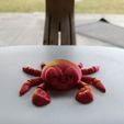41808e7e-ea09-40af-8983-666a14d8125a.jpeg Crabe flexible