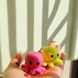 WhatsApp-Image-2021-12-03-at-1.59.46-PM.jpeg CUTE OCTOPUS HAPPY ANGRY SPINNER TOY PLUS KEYRING