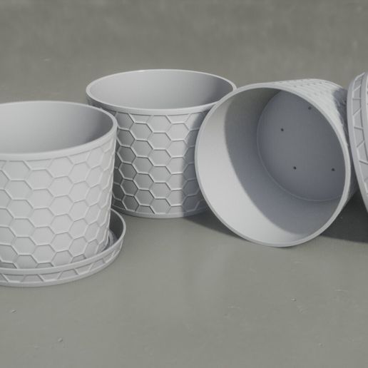 Decorative Indoor Pot + Tray